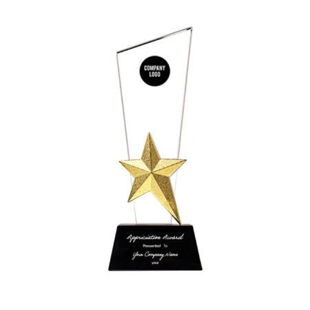 Crystal Trophy with Metal Star