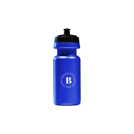 650ml Sports Bottle Blue